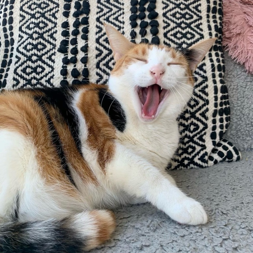 Meet your Posher, Kristina